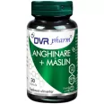 Anghinare Maslin 400mg 1x30cps - DVR PHARM