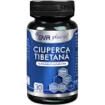 Ciuperca tibetana 1x30cps - DVR PHARM