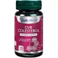 DVR Colesterol 1x30cps - DVR PHARM