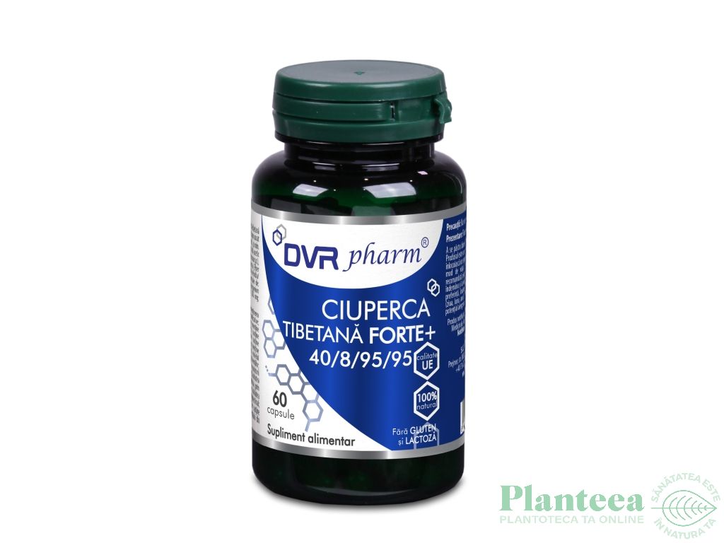 Ciuperca tibetana forte+ 40/8/95/95 60cps - DVR PHARM