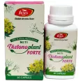 Distonoplant forte 60cps - FARES