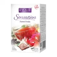 Ceai fructe padure Sensation piramide 20x2,25g - EVOLET