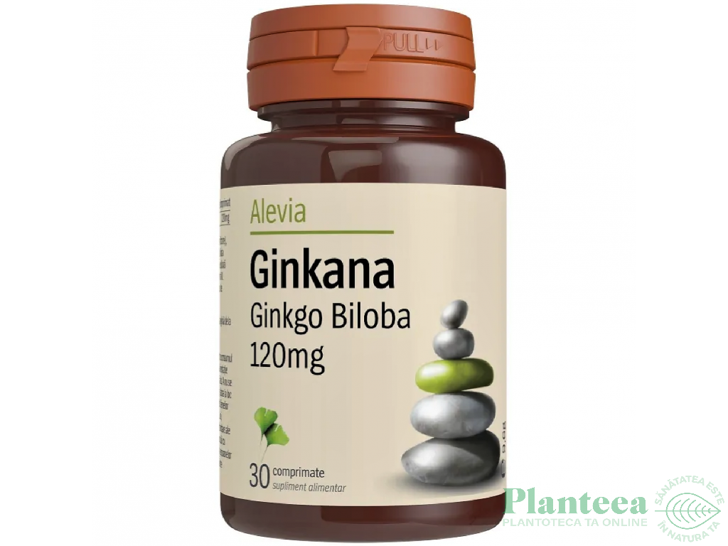 Ginkgo biloba 120mg Ginkana 30cp - ALEVIA