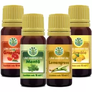 Kit 4 uleiuri esentiale Office Focus 4x10ml - HERBAL SANA