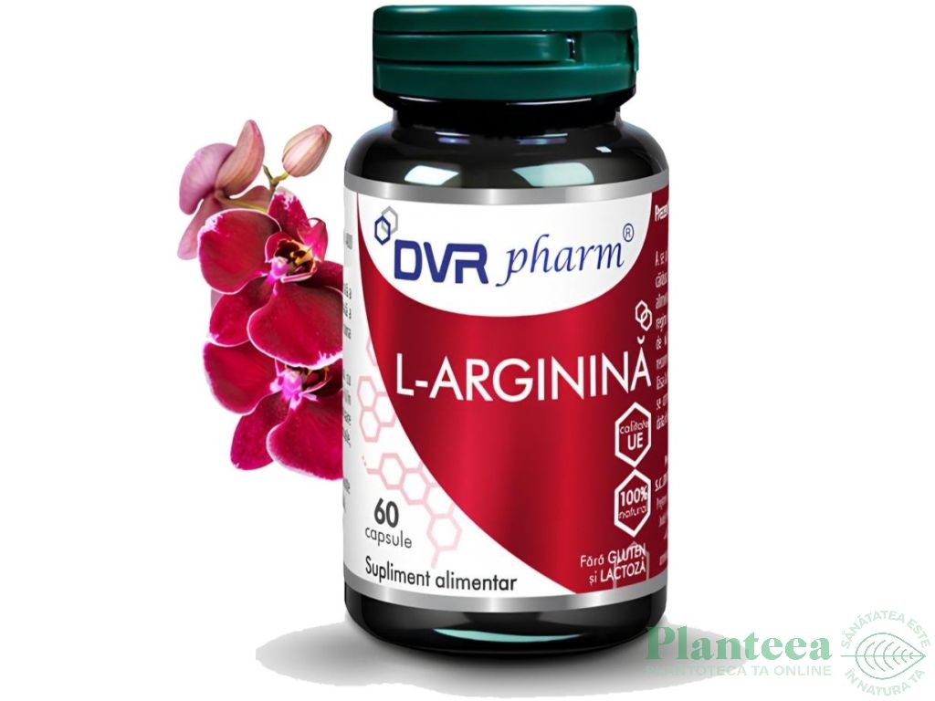 Larginina 400mg 1x60cps - DVR PHARM