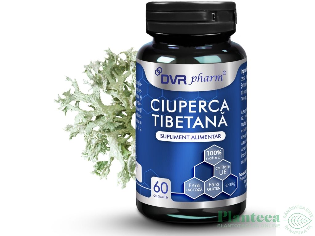 Ciuperca tibetana 1x60cps - DVR PHARM