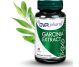 Garcinia extract 60cps - DVR PHARM