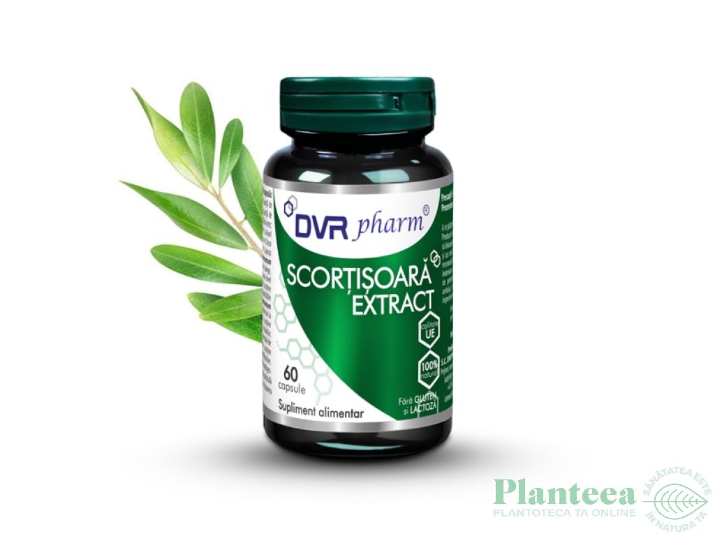 Scortisoara extract 60cps - DVR PHARM