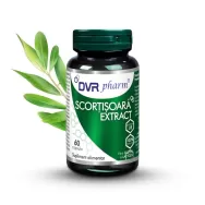 Scortisoara extract 60cps - DVR PHARM