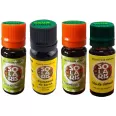 Kit 4 uleiuri aromo/esentiale Spiritul Craciunului in Sticlute Magice 4x10ml - SOLARIS