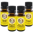 Kit 4 uleiuri odorizante Energie Pozitiva 4x10ml - SOLARIS