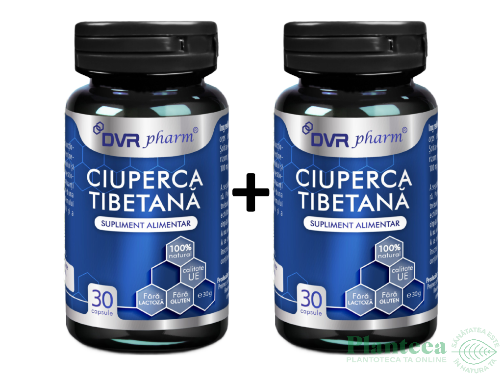 Ciuperca tibetana 2x30cps - DVR PHARM