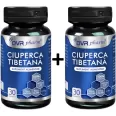 Ciuperca tibetana 2x30cps - DVR PHARM