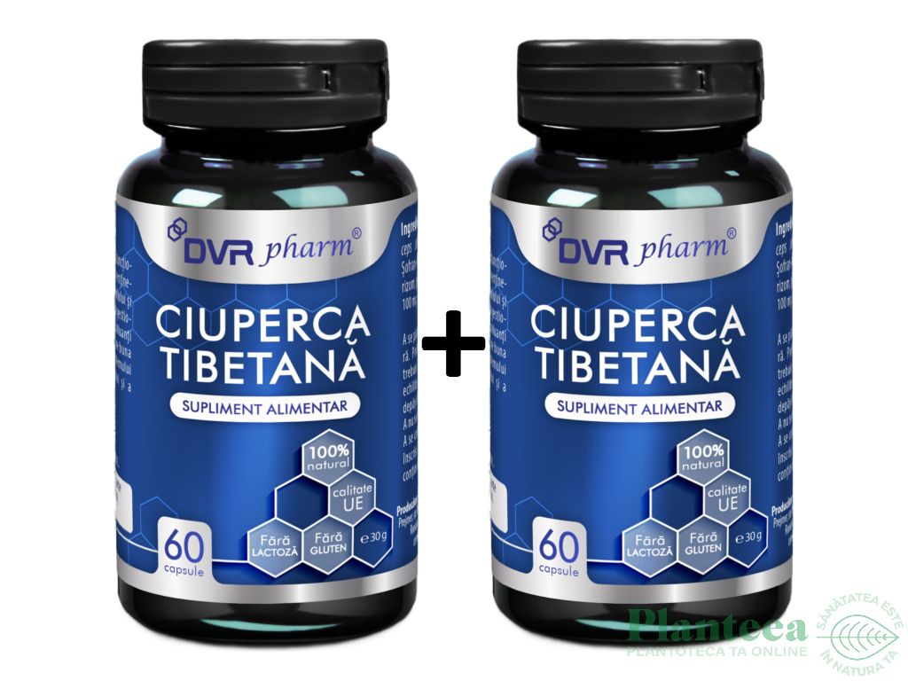 Ciuperca tibetana 2x60cps - DVR PHARM