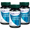 Cartilaj rechin 3x30cps - DVR PHARM