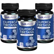 Ciuperca tibetana 3x30cps - DVR PHARM