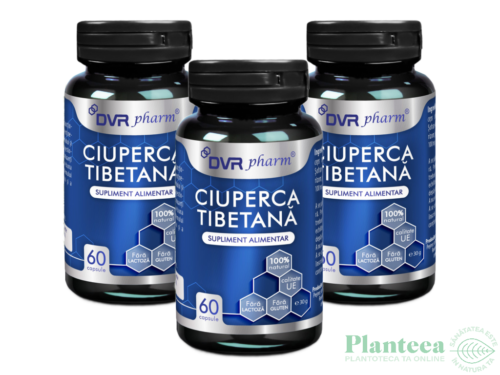 Ciuperca tibetana 3x60cps - DVR PHARM