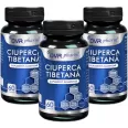 Ciuperca tibetana 3x60cps - DVR PHARM