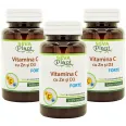 Pachet Vitamina C Zn D3 Forte 3x30cp - SEVA PLANT