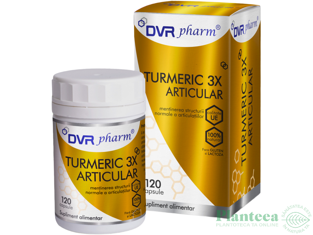 Turmeric 3X Articular 120cps - DVR PHARM