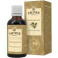 Tinctura rostopasca 50ml - FAUNUS PLANT