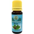 Ulei esential pin 10ml - HERBAL SANA