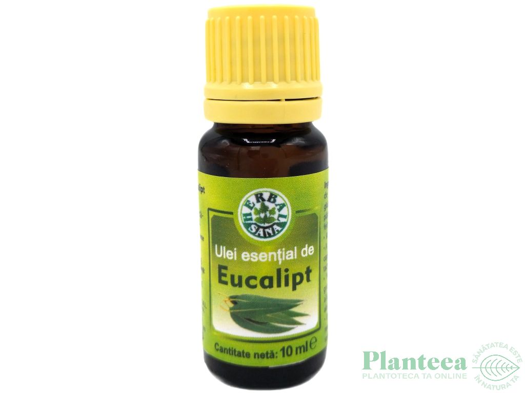 Ulei esential eucalipt 10ml - HERBAL SANA