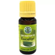 Ulei esential eucalipt 10ml - HERBAL SANA