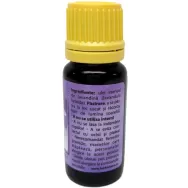 Ulei esential lavandina 10ml - HERBAL SANA