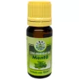 Ulei esential menta 10ml - HERBAL SANA