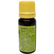 Ulei esential menta 10ml - HERBAL SANA