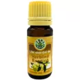 Ulei esential verbina 10ml - HERBAL SANA