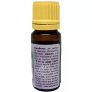 Ulei esential rozmarin 10ml - HERBAL SANA