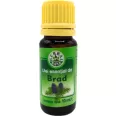 Ulei esential brad 10ml - HERBAL SANA