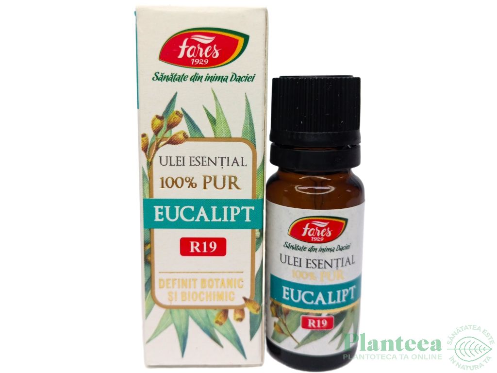 Ulei esential eucalipt 100% pur 10ml - FARES