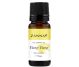 Kit 4uleiuri esentiale Aromele Dragostei Quartet for Love 4x10ml - SEVA PLANT