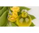 Ulei esential ylang ylang 10ml - HERBAL SANA