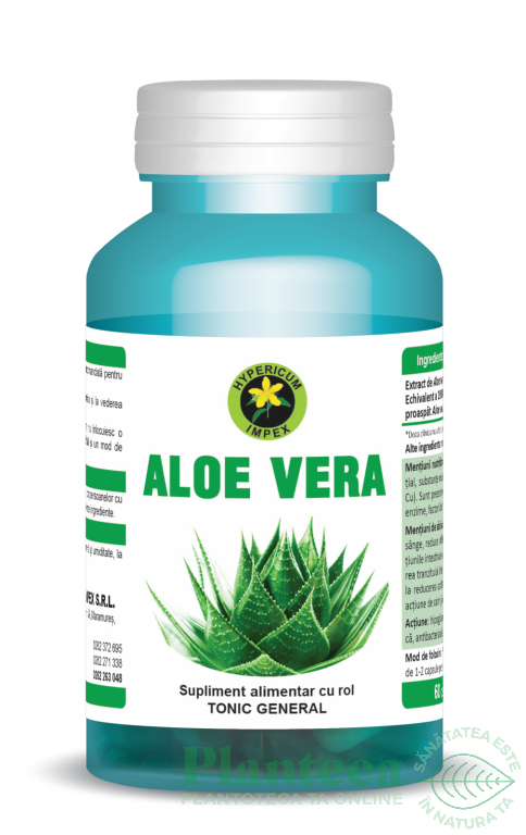 Aloe Vera 60cps Hypericum Plant Pret 23 2 Lei Planteea