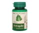 Astragalus 500mg 60cp - DACIA PLANT