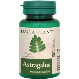 Astragalus 500mg 60cp - DACIA PLANT