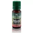 Ulei parfumat atlantic 10ml - AROMA LAND