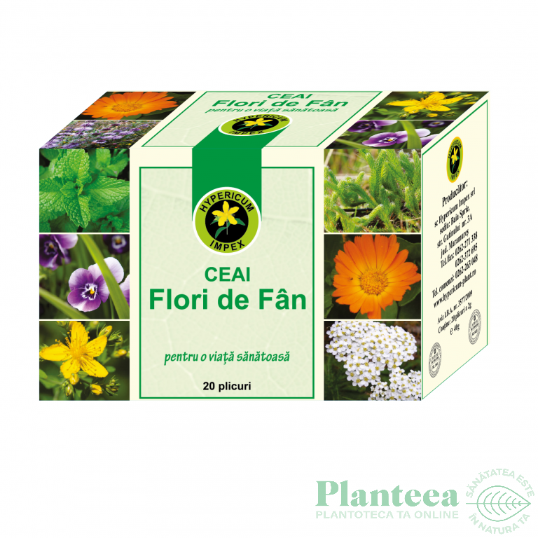 Ceai Flori Fan 20dz Hypericum Plant Pret 6 7 Lei Planteea