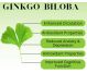 Ginkgo biloba 3x60cp - DACIA PLANT