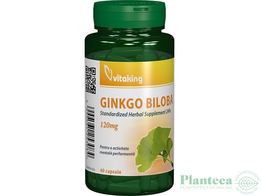 Ginkgo biloba 120mg 60cp - VITAKING