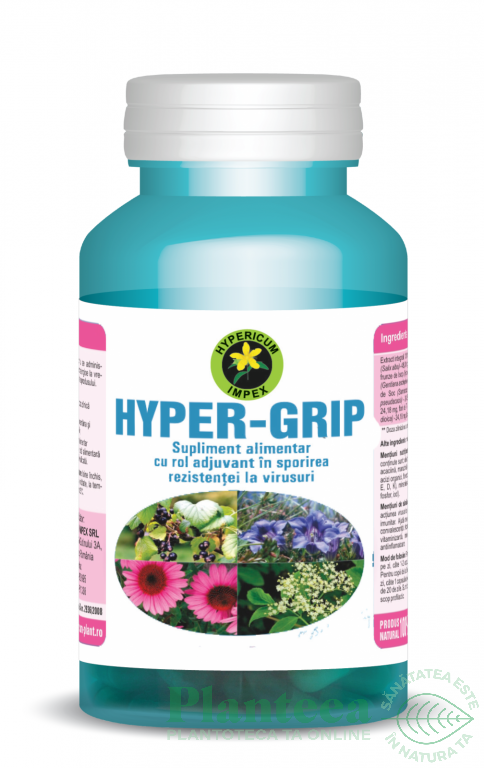 Hyper Grip 60cps Hypericum Plant Pret 27 3 Lei Planteea