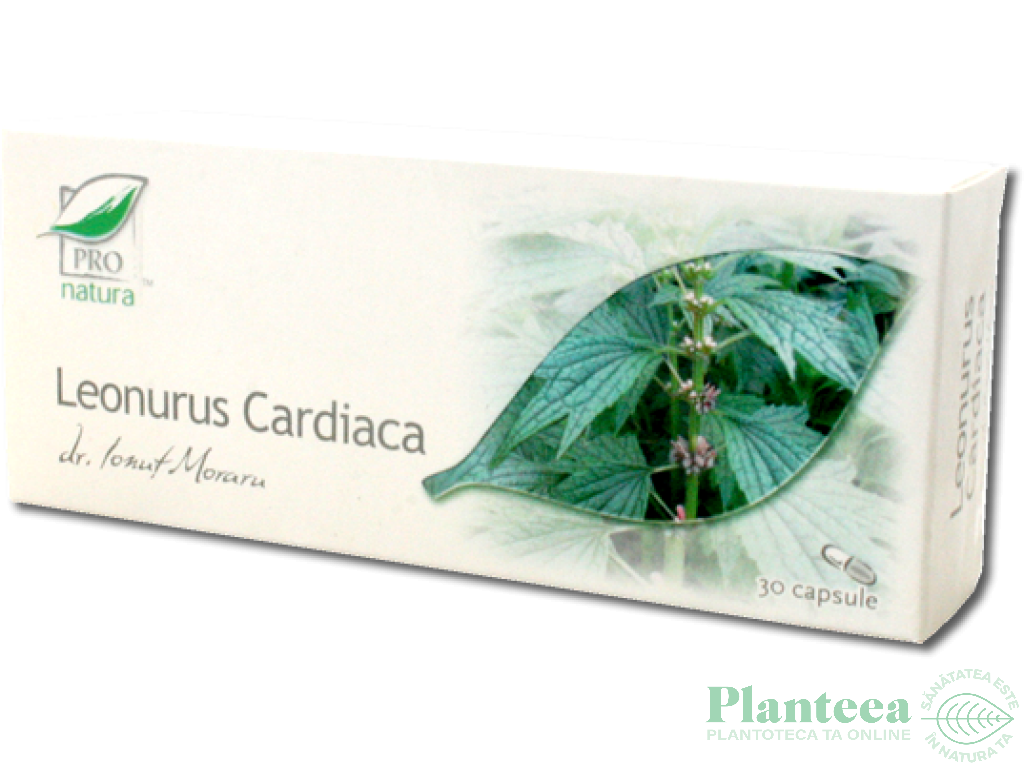 Leonurus cardiaca 30cp - MEDICA