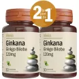 Pachet Ginkgo biloba 120mg Ginkana 2x30cp - ALEVIA