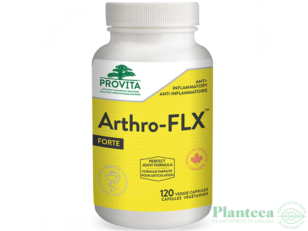 Arthro FLX forte 120cps - PROVITA NUTRITION