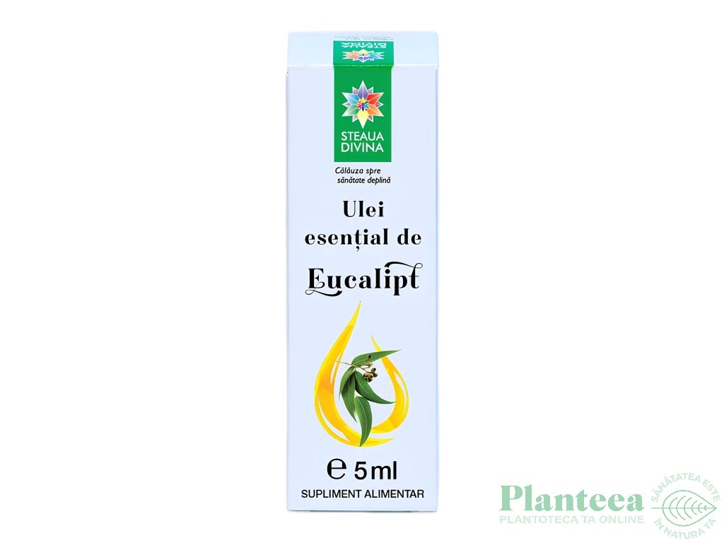 Ulei esential eucalipt uz intern 5ml - SANTO RAPHAEL