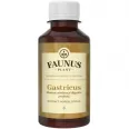 Tinctura gastricus 200ml - FAUNUS PLANT